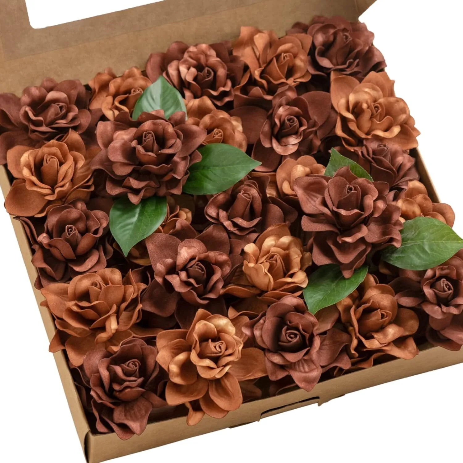 Copper Brown Gardenia