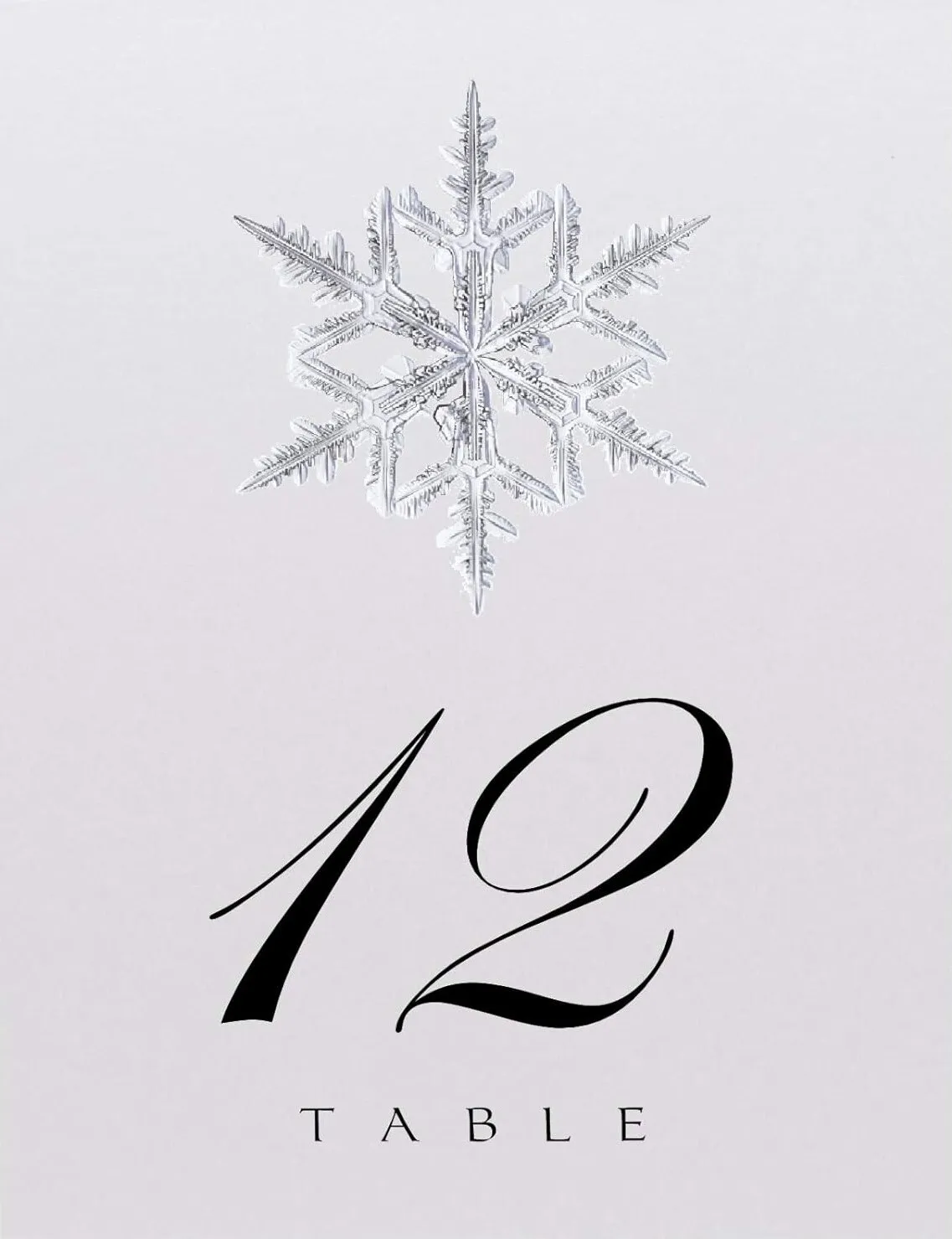 Snowflake Table Numbers