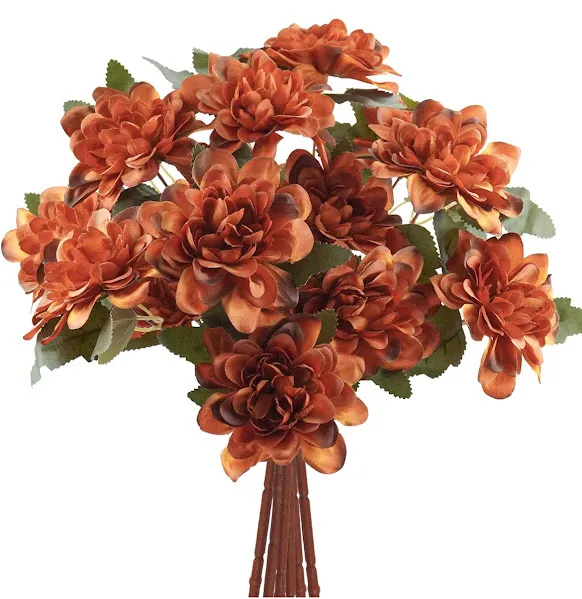 Terracotta Daisy Mums