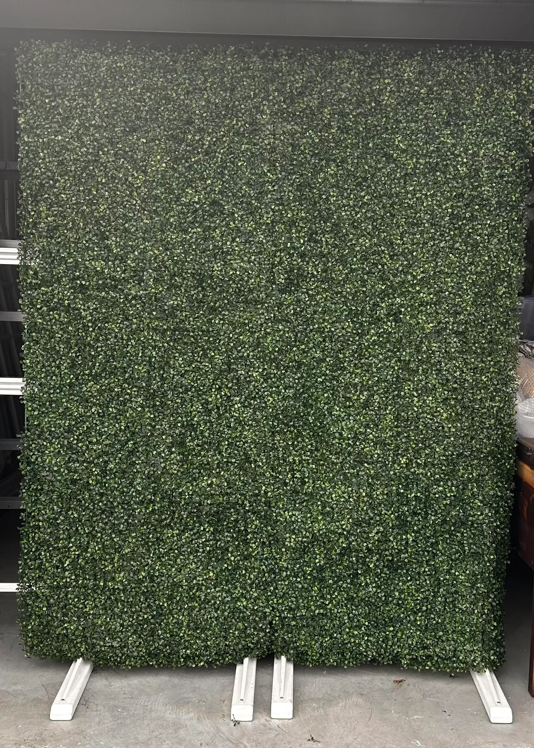 Plain Boxwood Backdrop- (freestanding)- Item # 1603