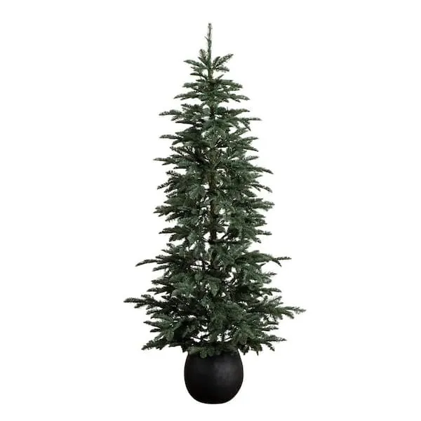 Evergreen Tree- 6ft pine
