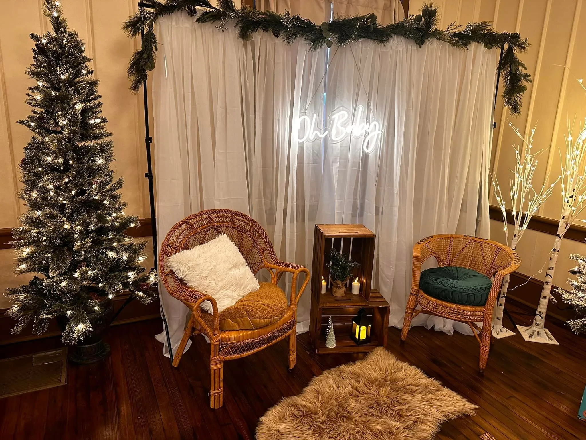 Sheer Backdrop with Stand- Item # 1604