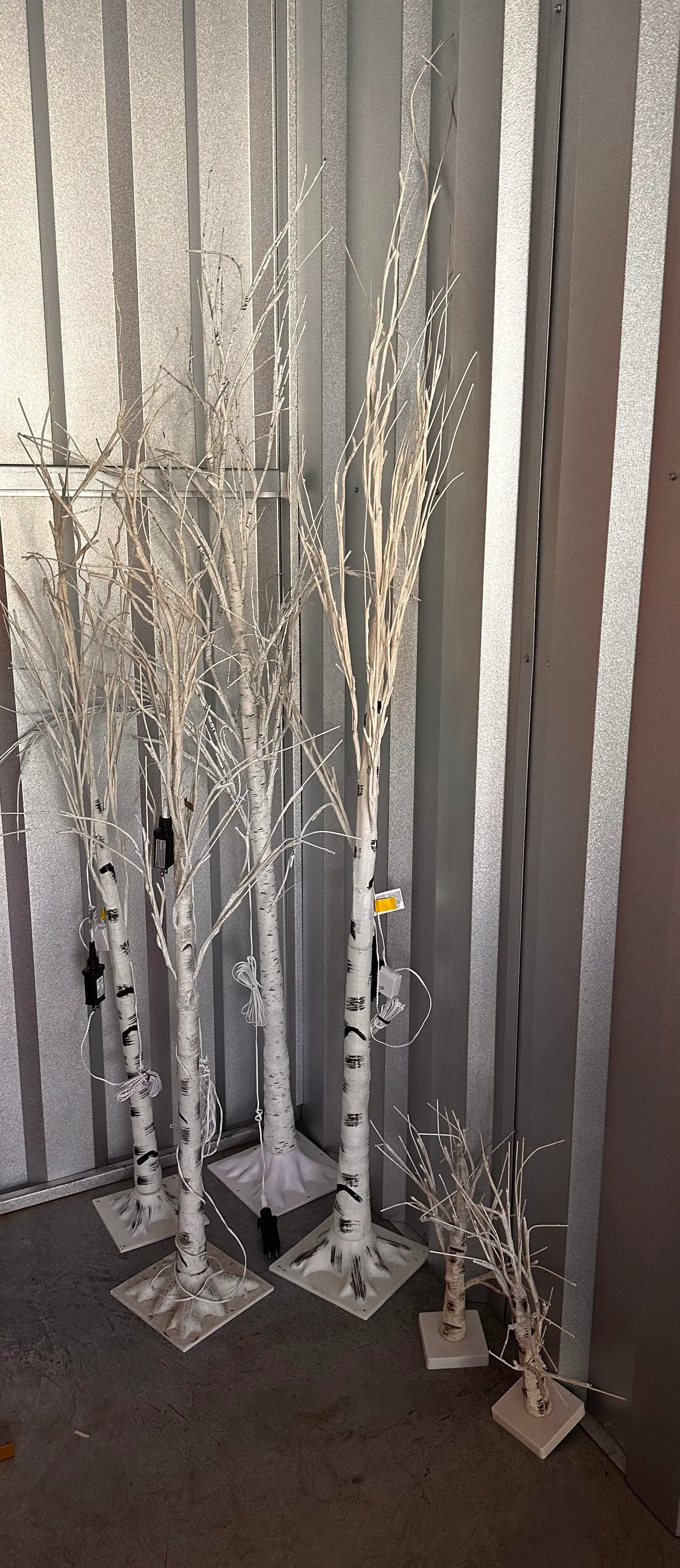 Birch Tree Set of 3 Item # 1504