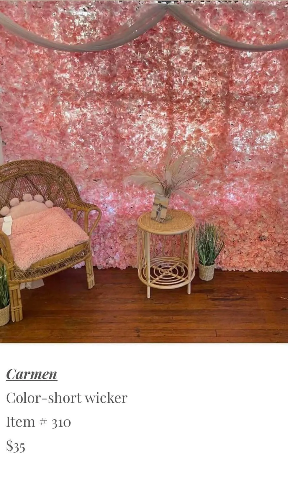 Pink Floral Backdrop with Stand- Item #1601