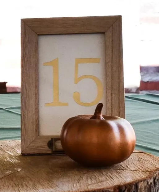 Table numbers- Light wood frame-gold numbers (1-20)