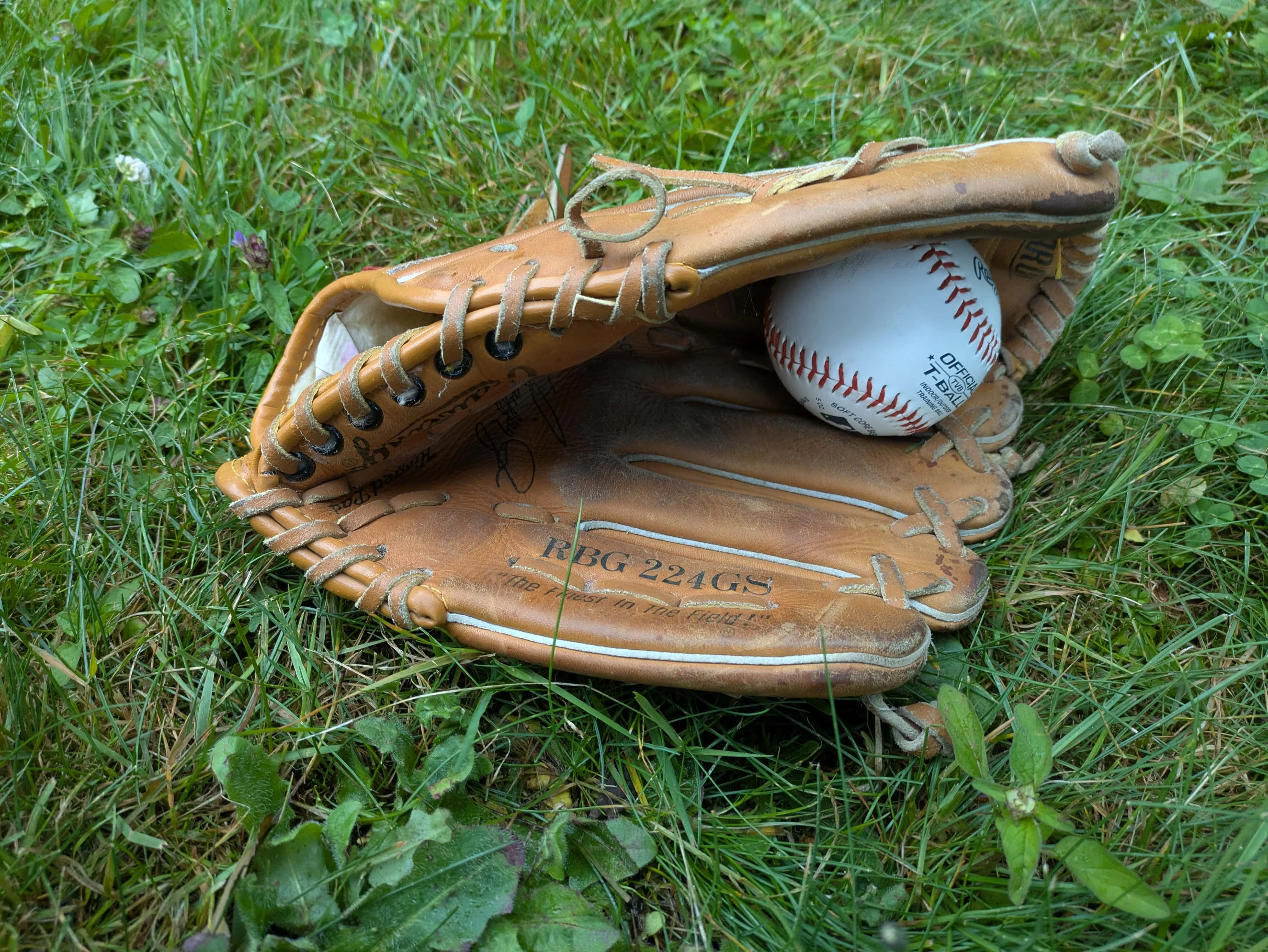 Baseball Mitt