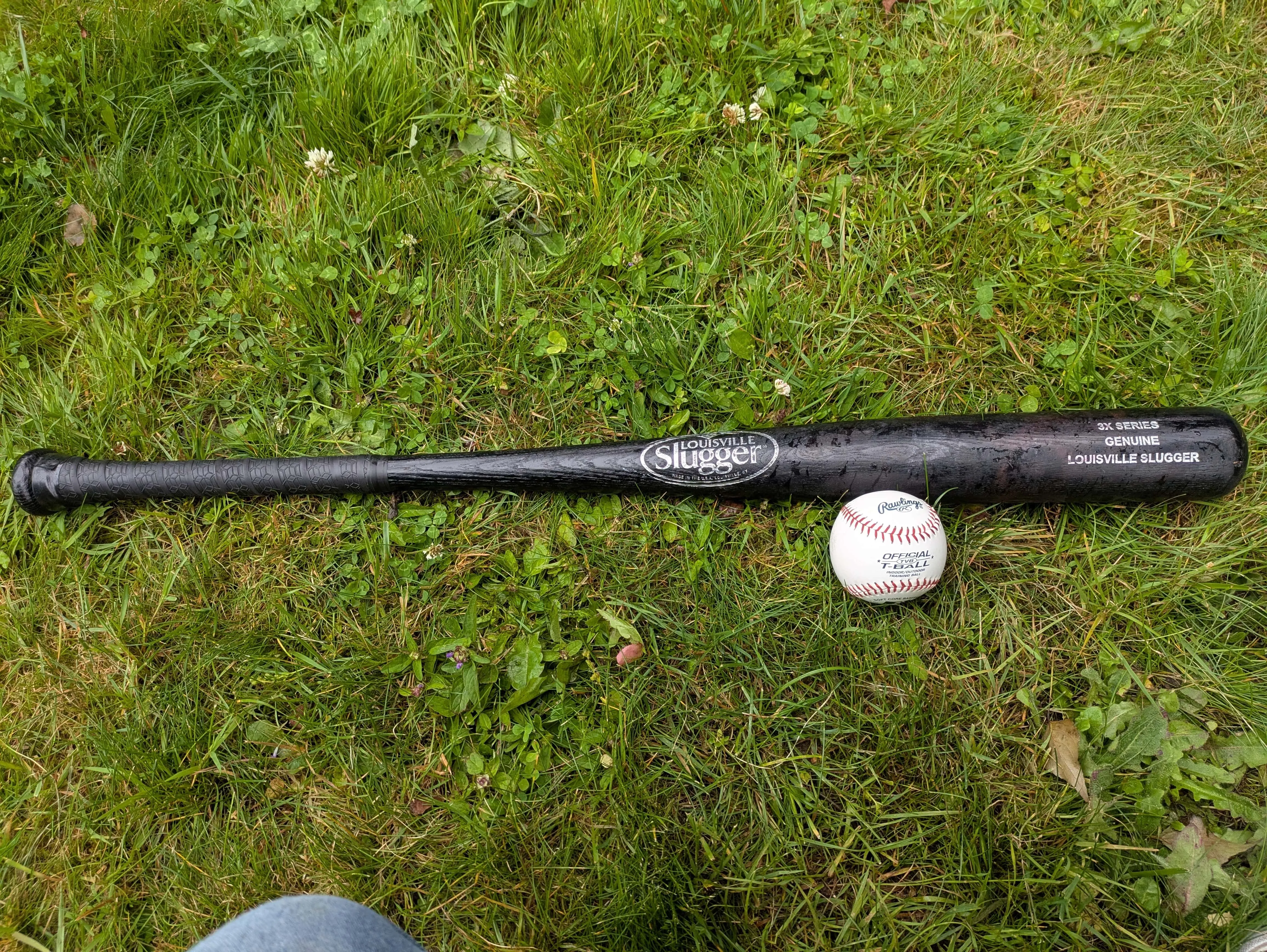 Baseball Bat and 5 Balls
