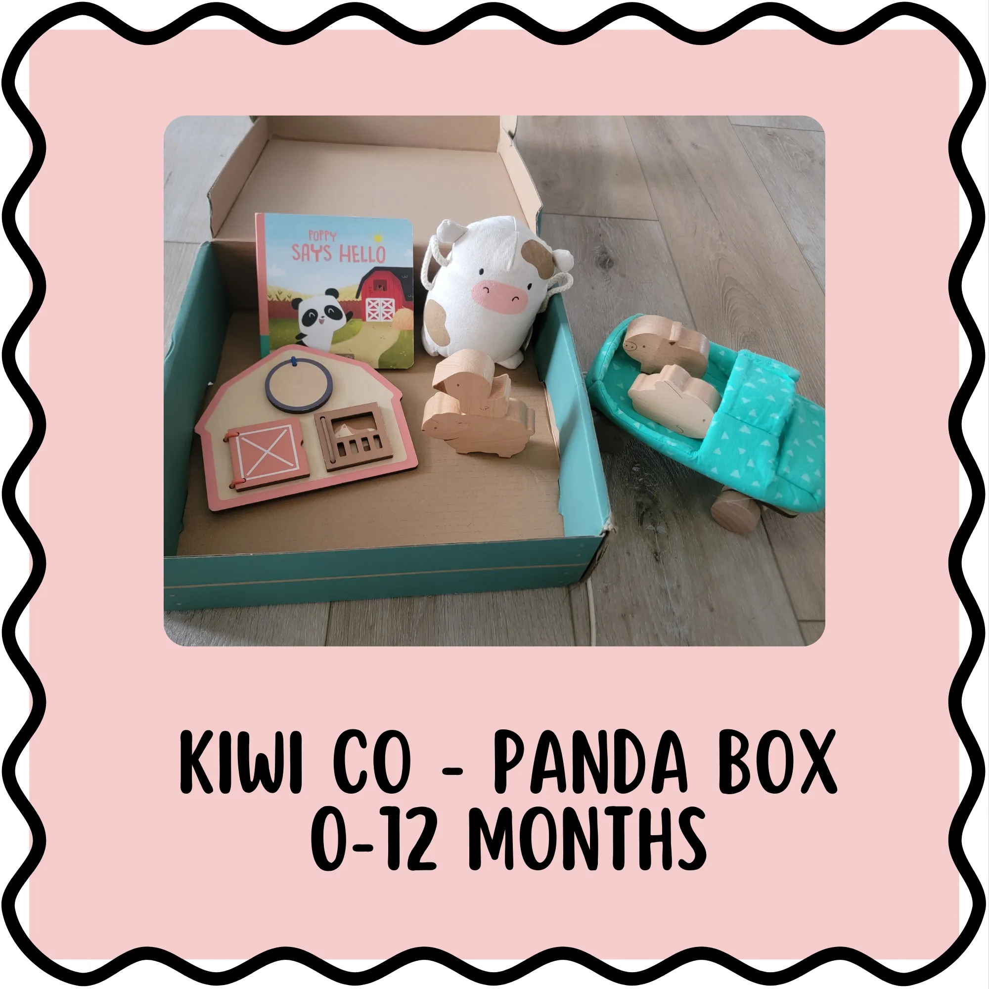 0-12 Month Kiwi Co Box 📦