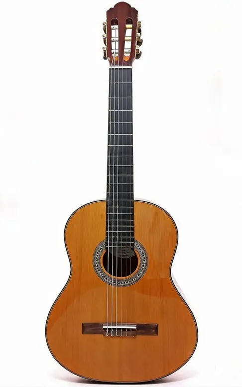 Chard	EC3945 古典木吉他