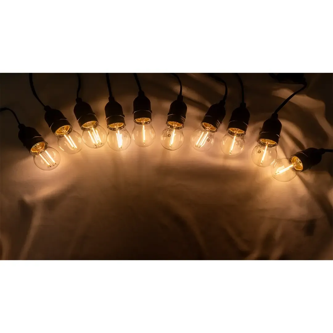 Festoon Lights 10m