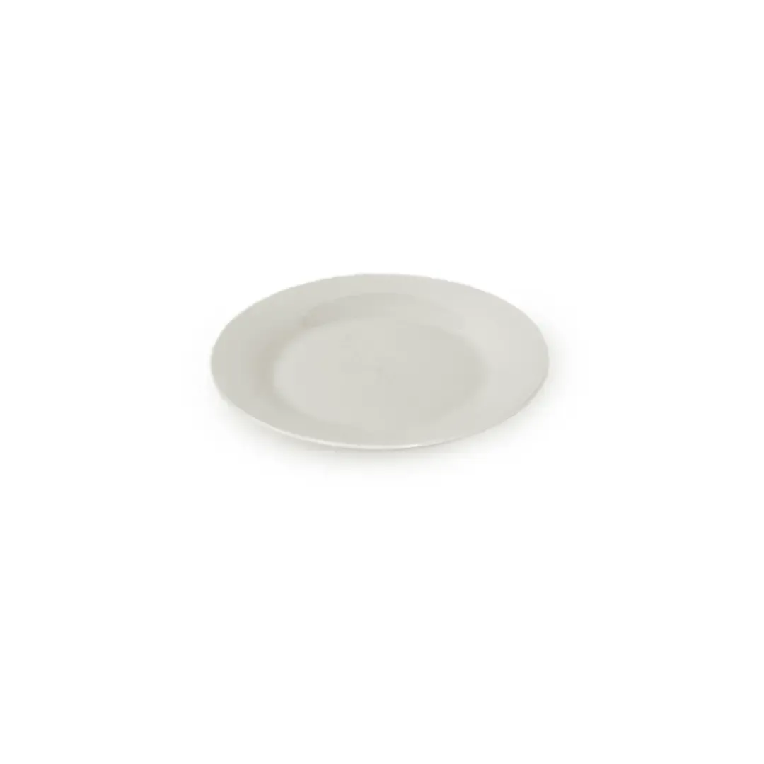 Dinner Plate