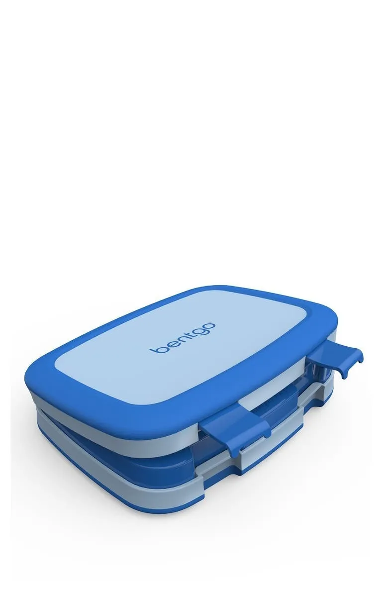 Bento-Style Lunch Box
