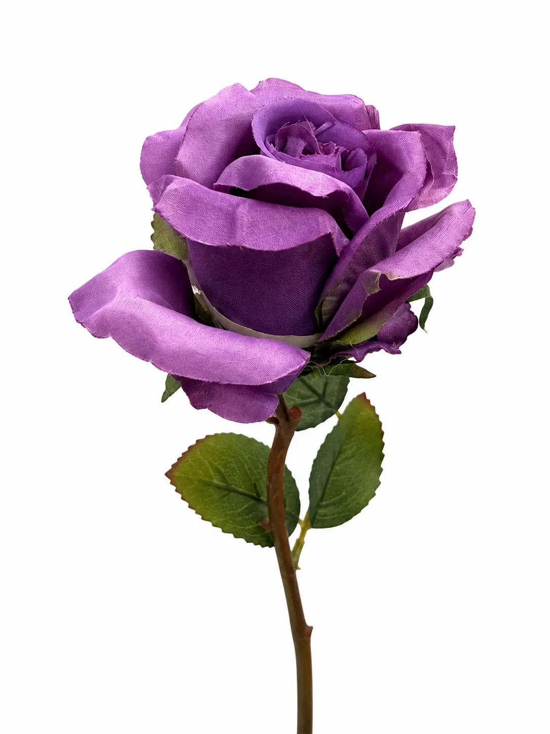 Purple Rose