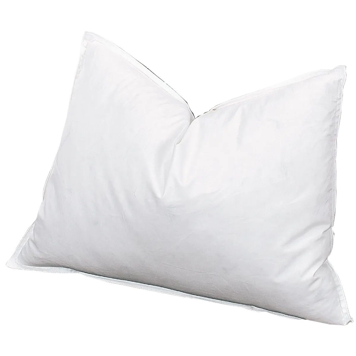 Pillow Insert 20x30"