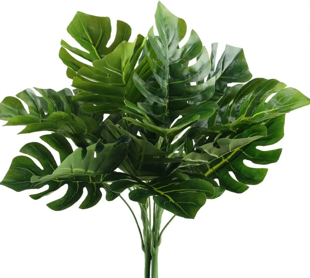 Bundles of Monstera Deliciosa Split Leaf Plants