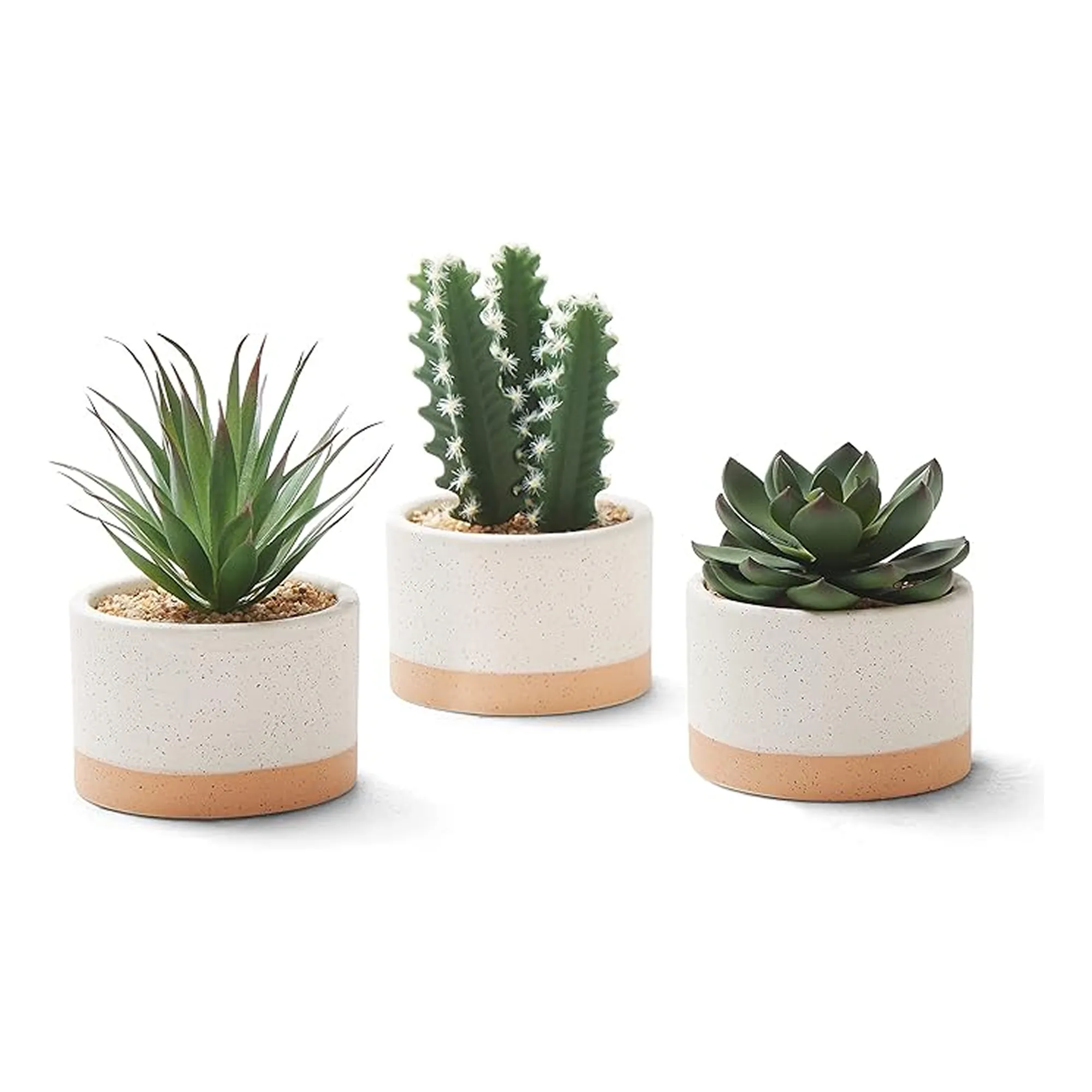 Artificial Succulent Plants in Ceramic Pots - Set of 3