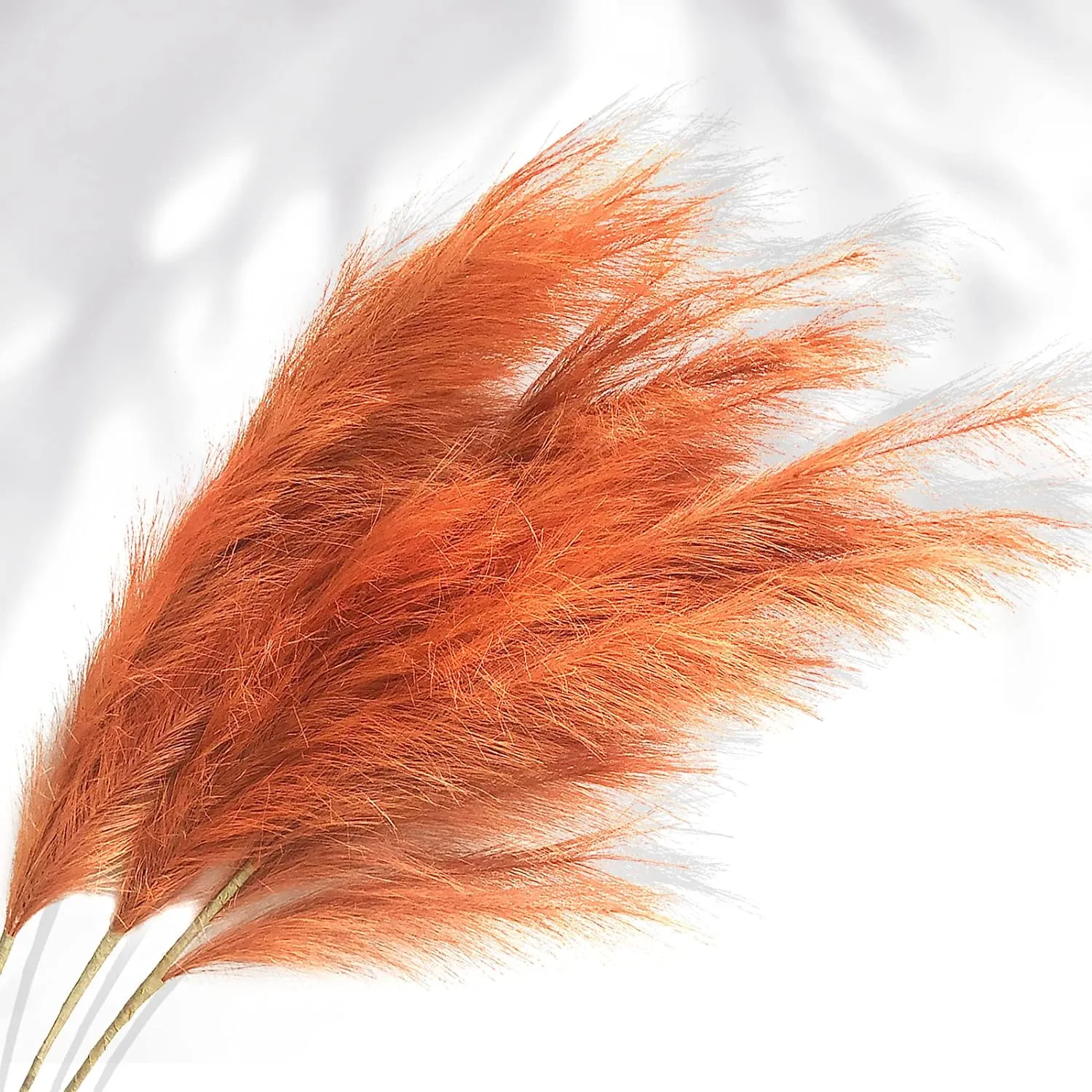 Dried Orange Fluffy Pampas Grass