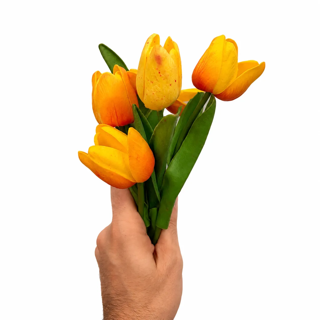 Yellow Tulips - Set of 5