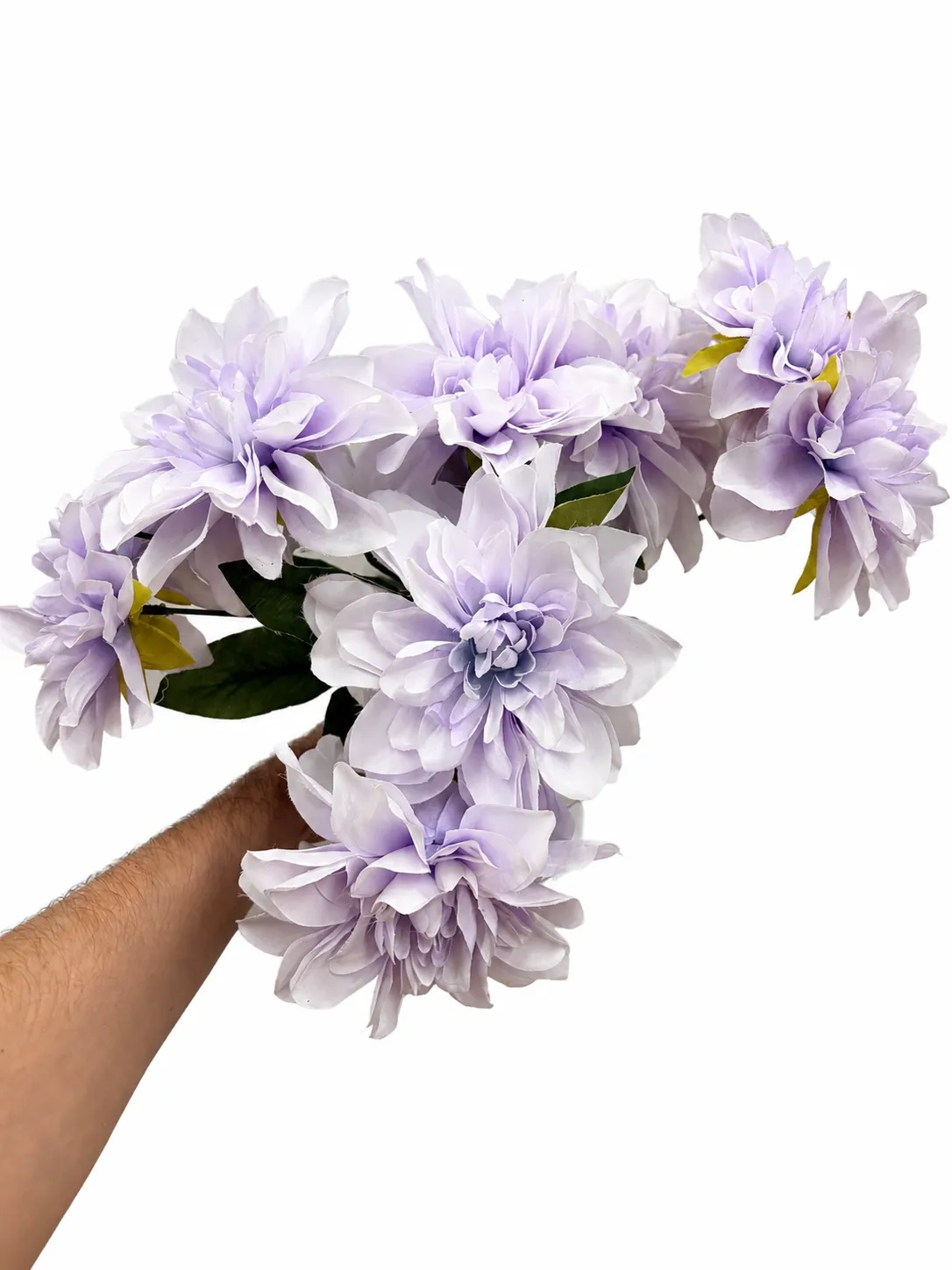 Light Purple Dahlia