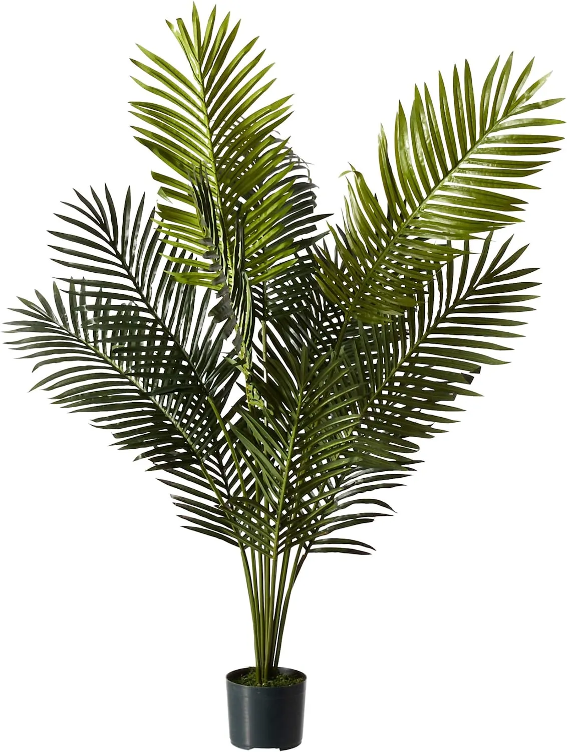Paradise Palm Artificial Plant