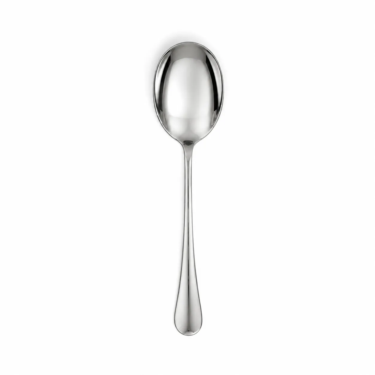 Large Stainless Steel Serving Spoon