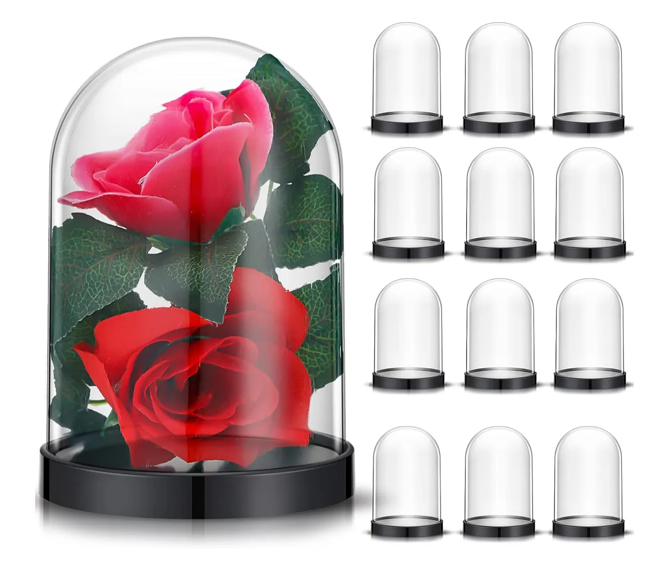 Plastic Cloche - Set of 11