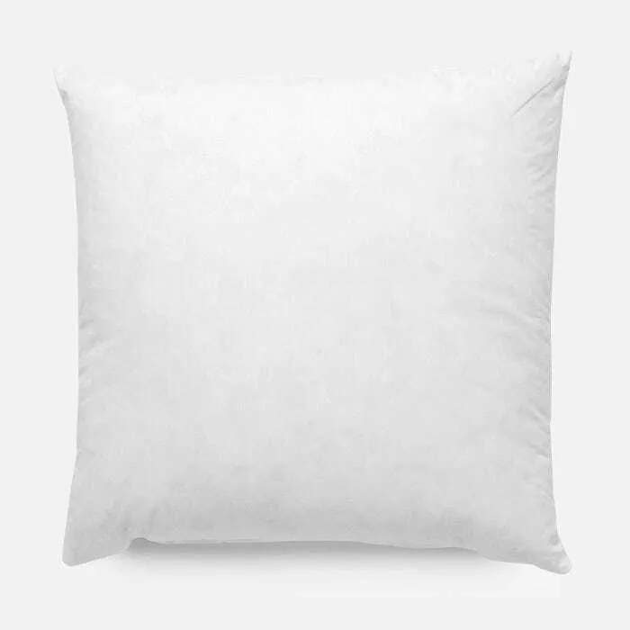 Pillow Insert 20x20"
