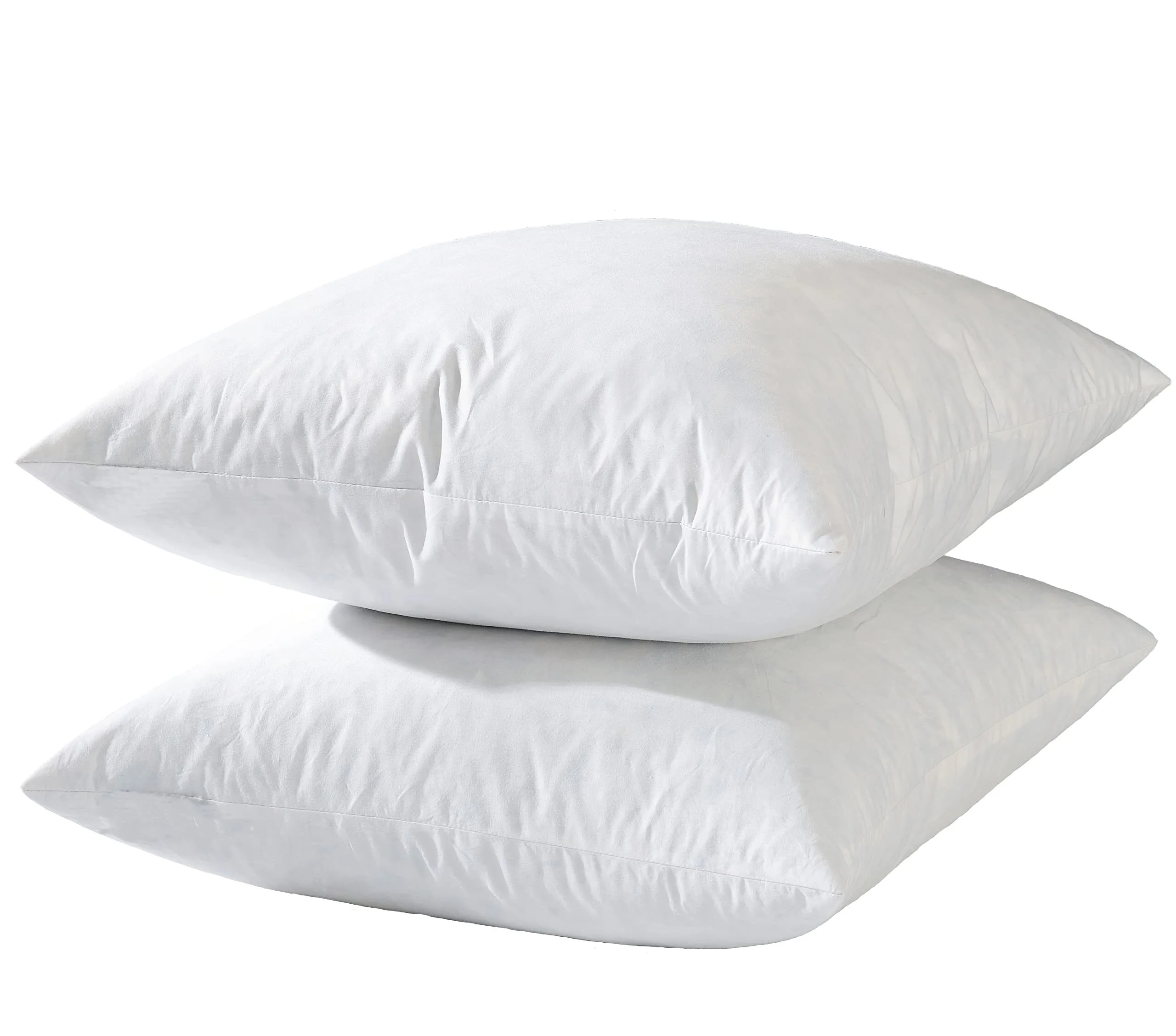 Pillow Insert 24x24"