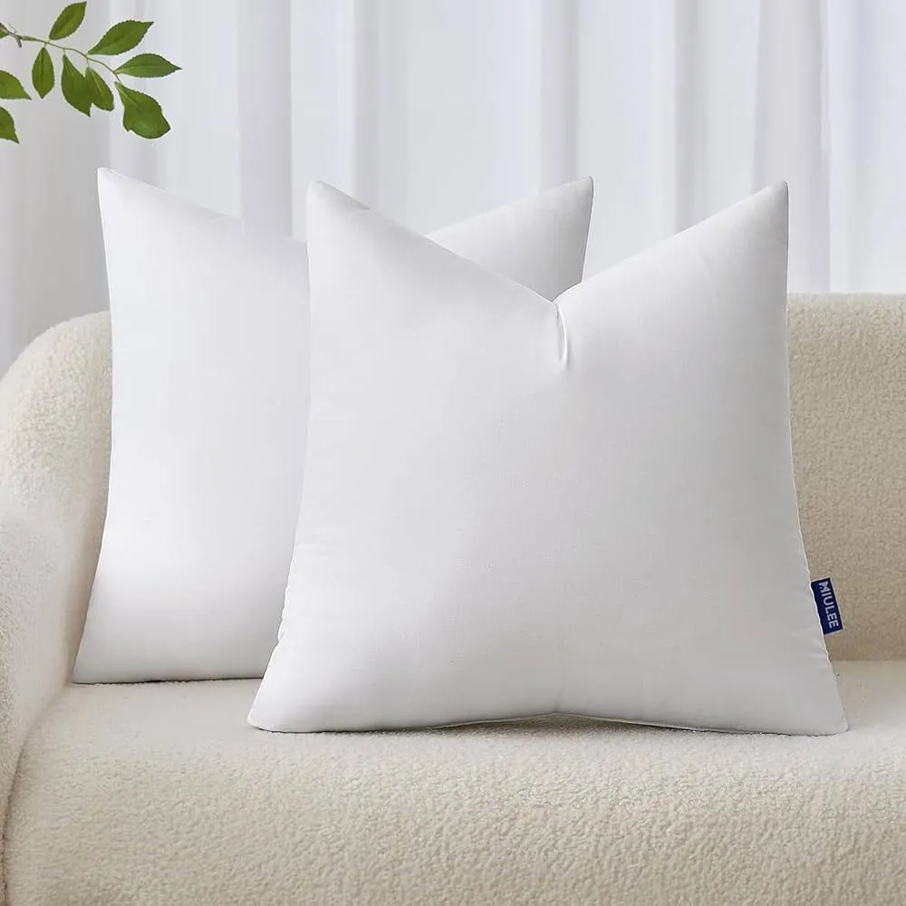Pillow Insert 18x18"