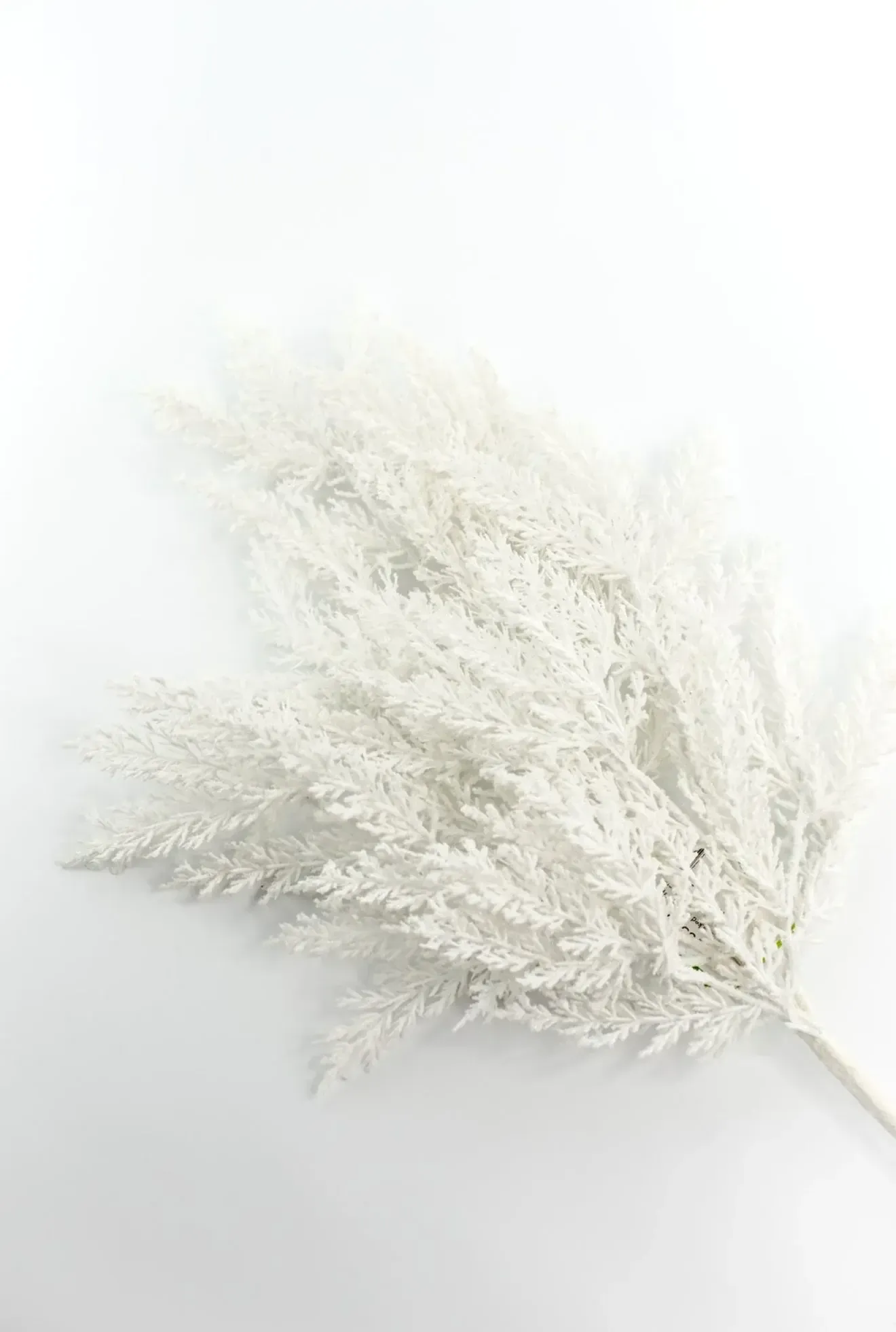 Flocked Cedar Spray Pampas Grass