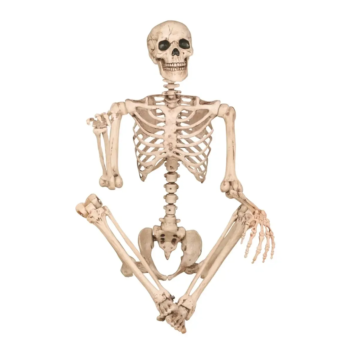 Halloween Decoration - Pose-N-Stay Skeleton