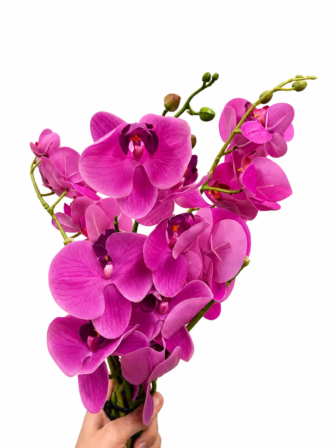 Pink Orchid Stems - Set of 3