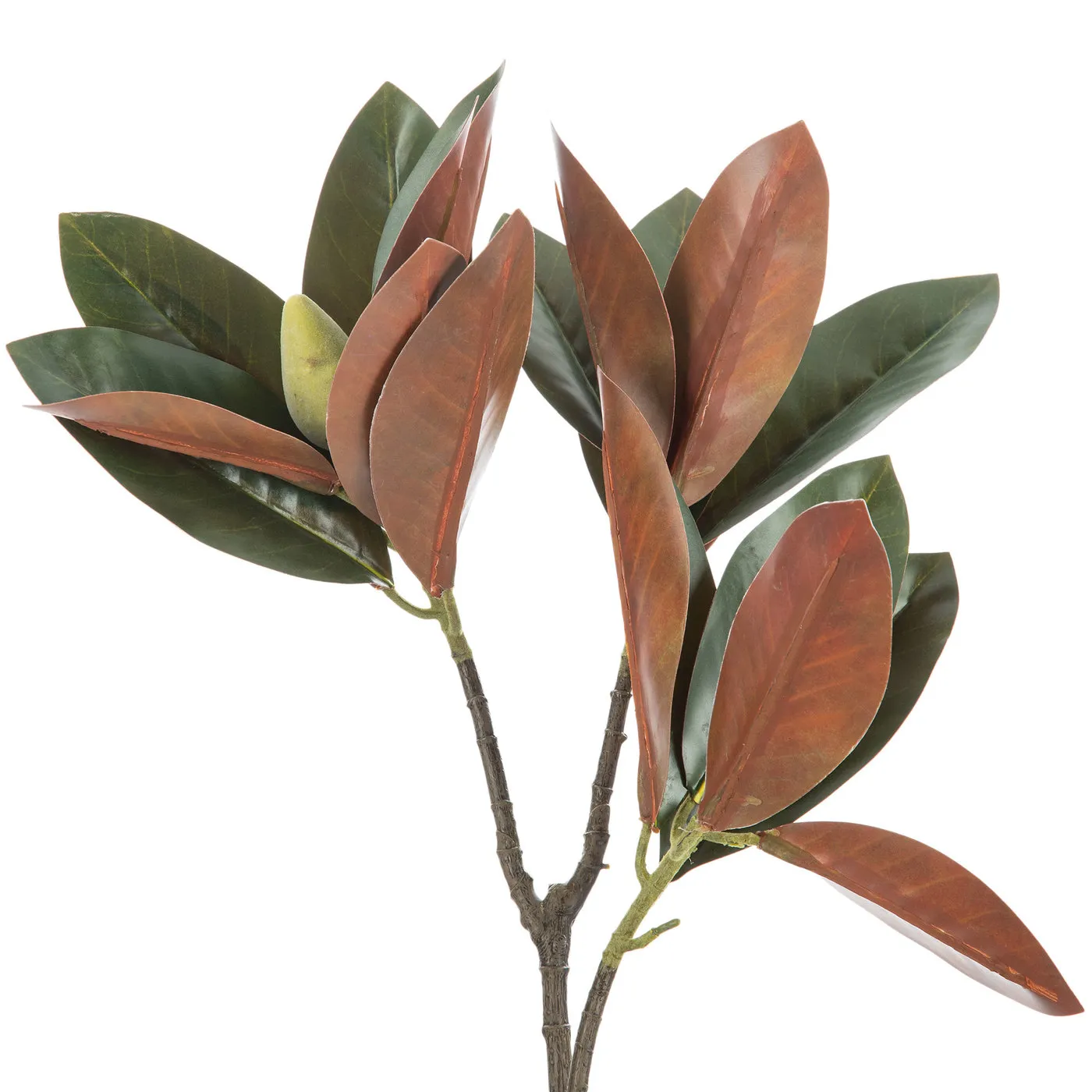 Magnolia Leaf Spray