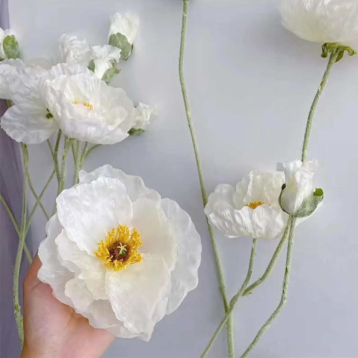 Poppy Iceland Flower Stem - White