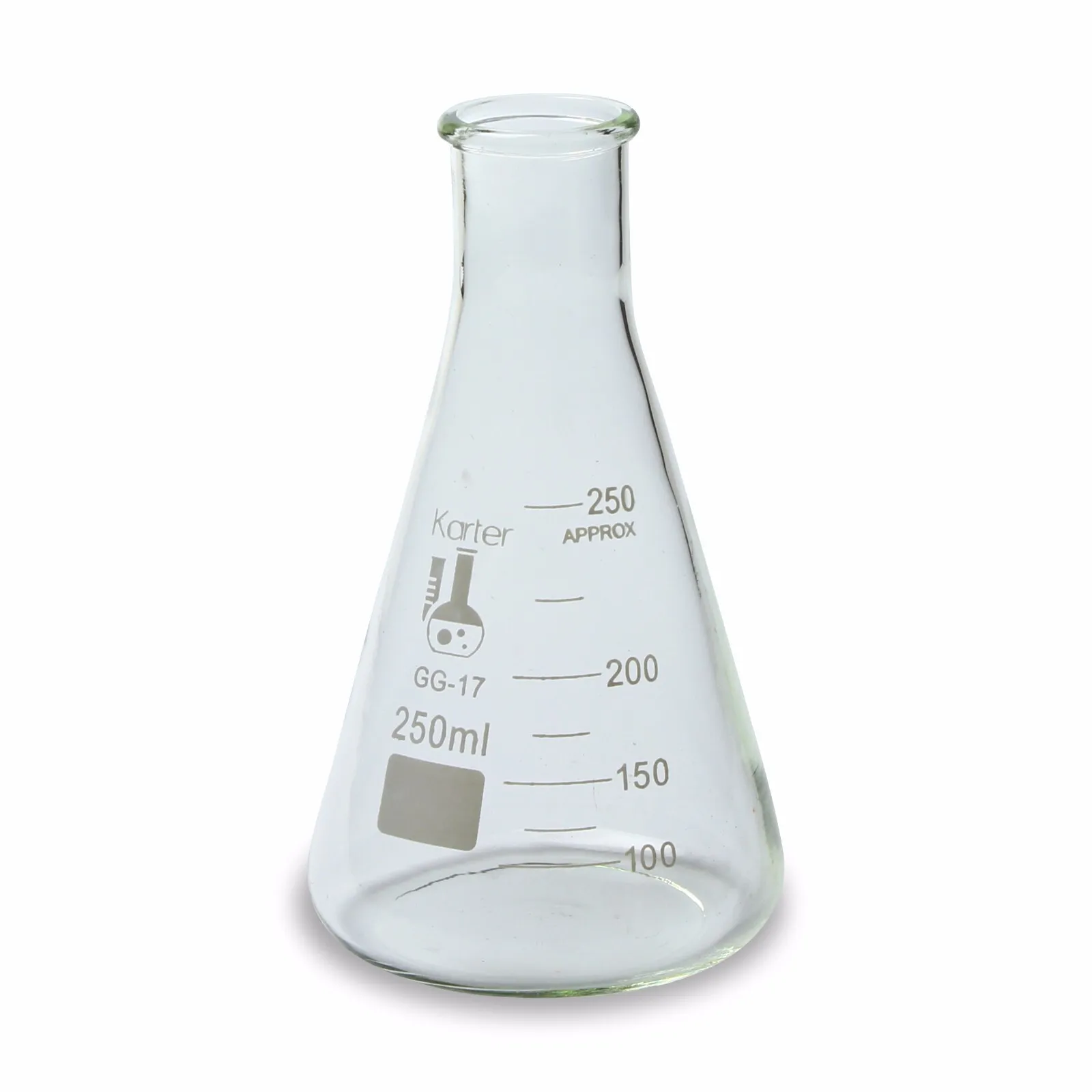 Glass Erlenmeyer Flask 250 mL - Set of 5