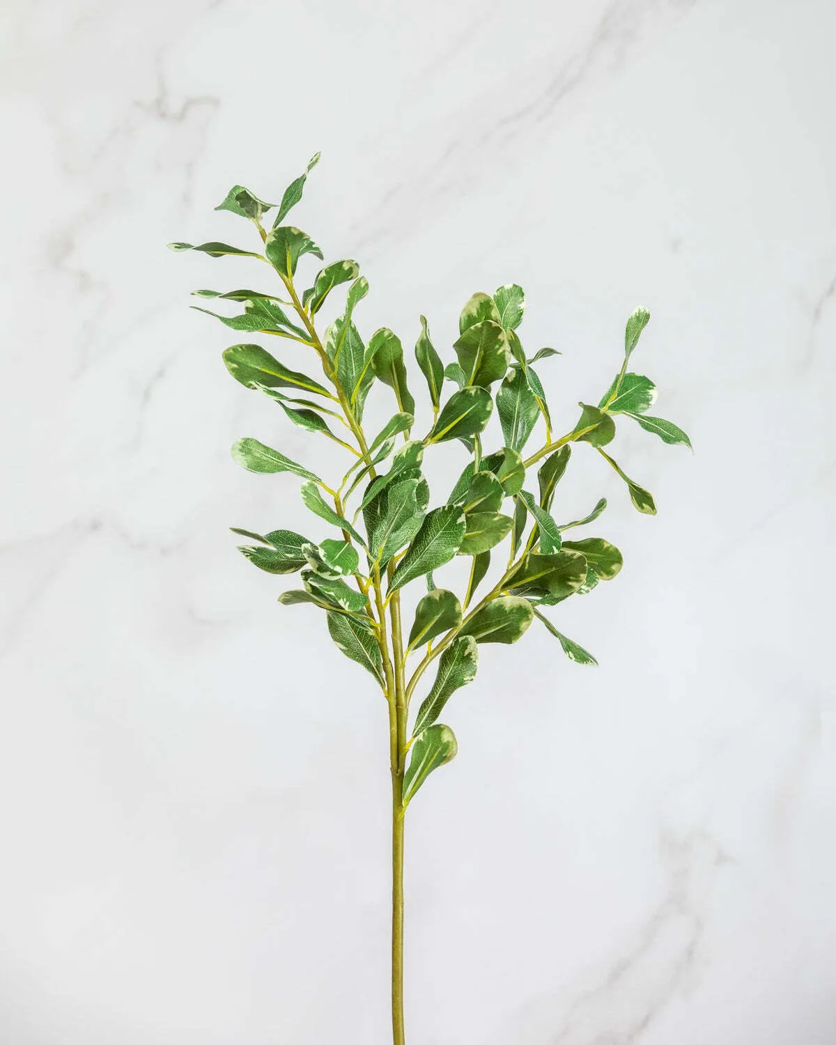 Foliage Stem 