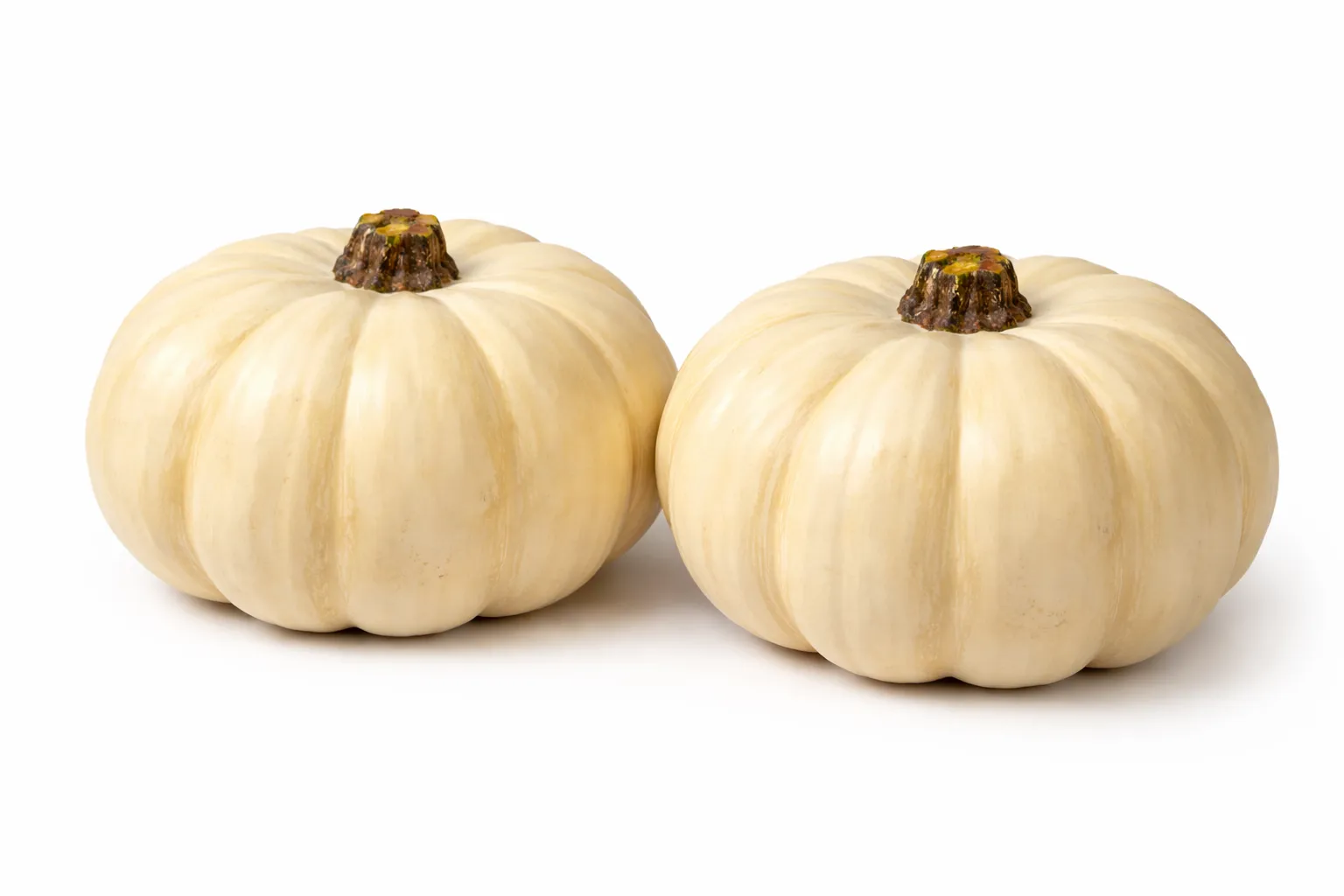 Medium White Faux Pumpkins