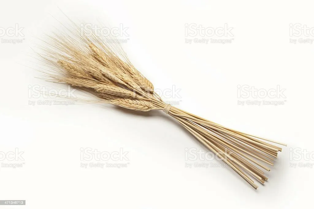 Wheat Stalk Bundle