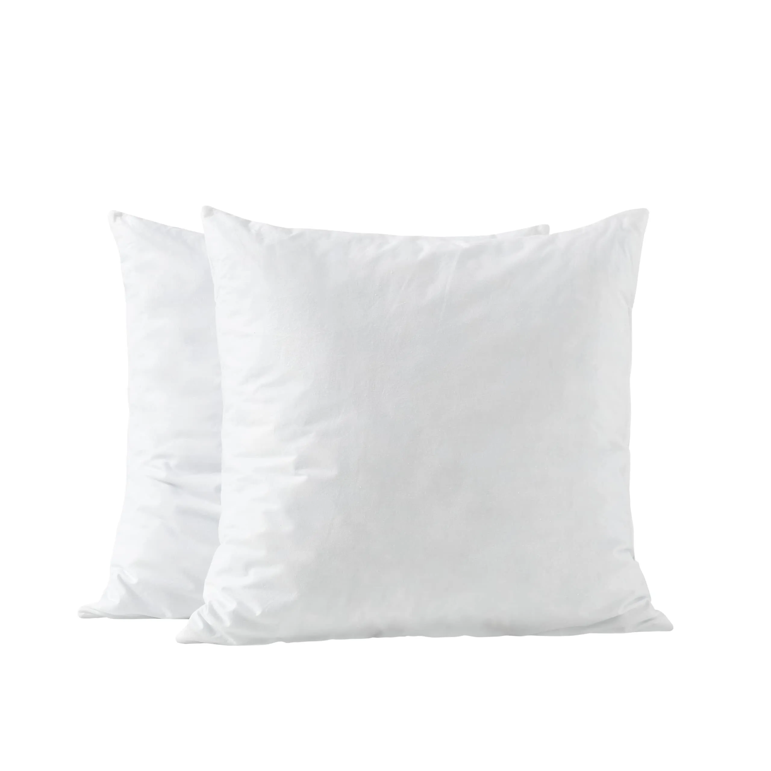 Pillow Insert 22x22"