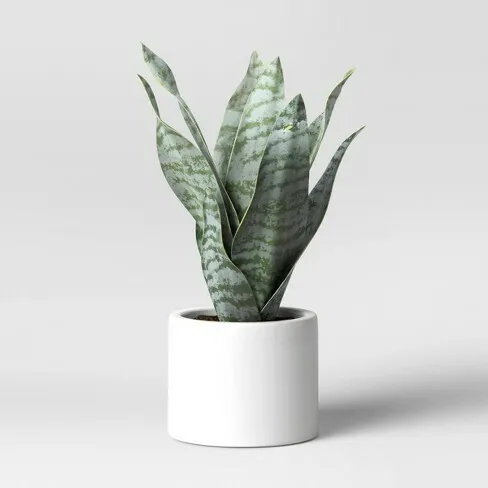 Artificial Snake Plant