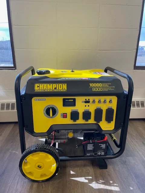 8000/10000 Portable Generator with Electric Start