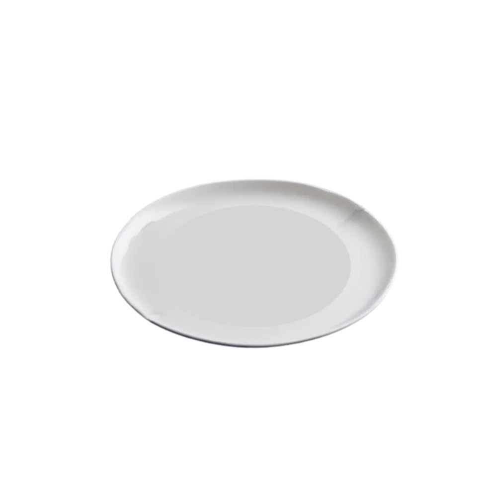 Assiette principale blanc