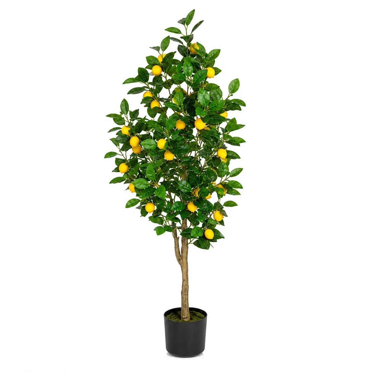 Zitronenbaum 125 cm