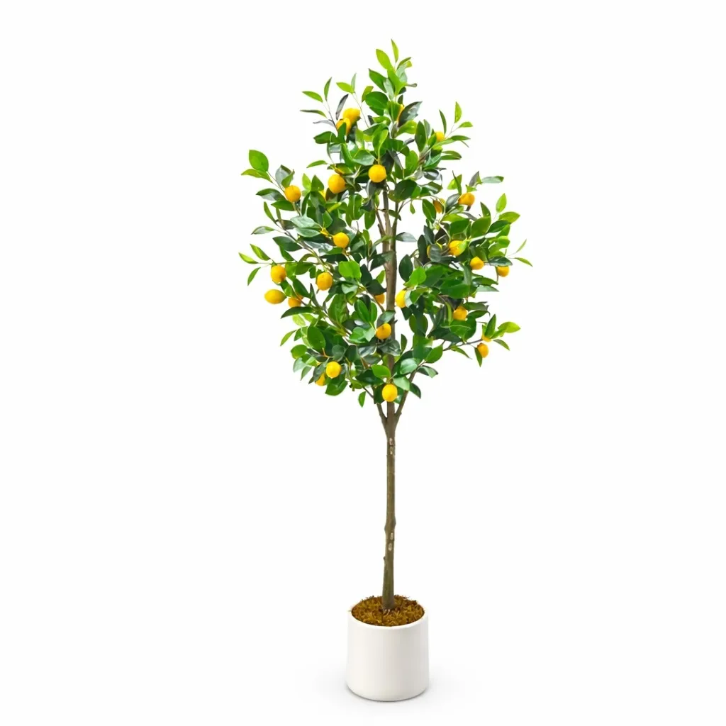 Zitronenbaum 150 cm 