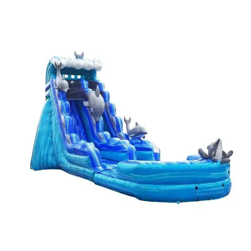'19 Dolphin Paradise Water Slide
