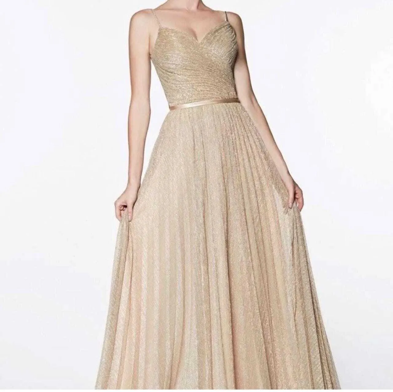 Cinderella Divine Gown CDG324
