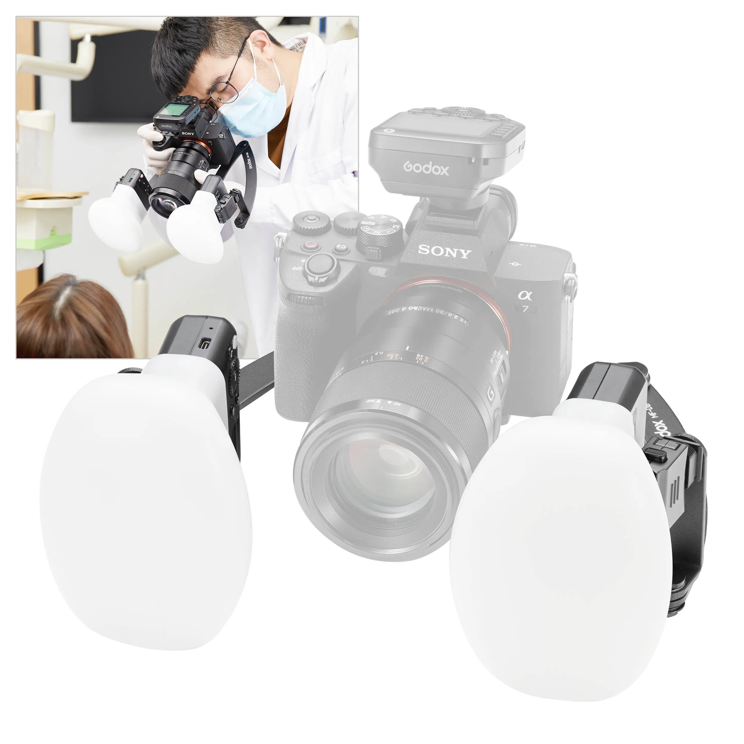MF12-DK3 Twin Macro Flash Kit for Professional Dental Photography