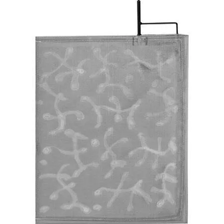 24" x 36" - Cello Cucoloris