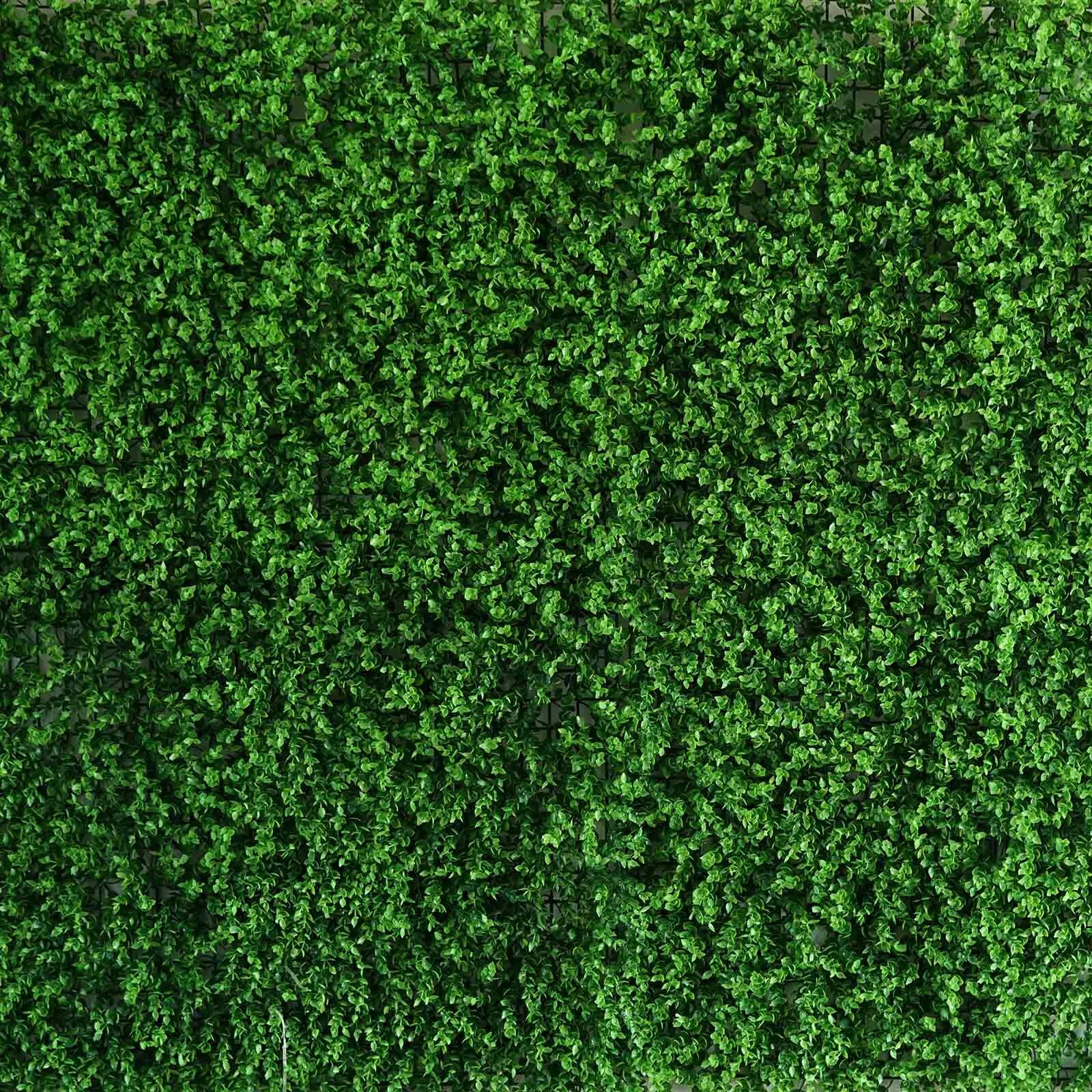 Boxwood Green Backdrop 5'x7'