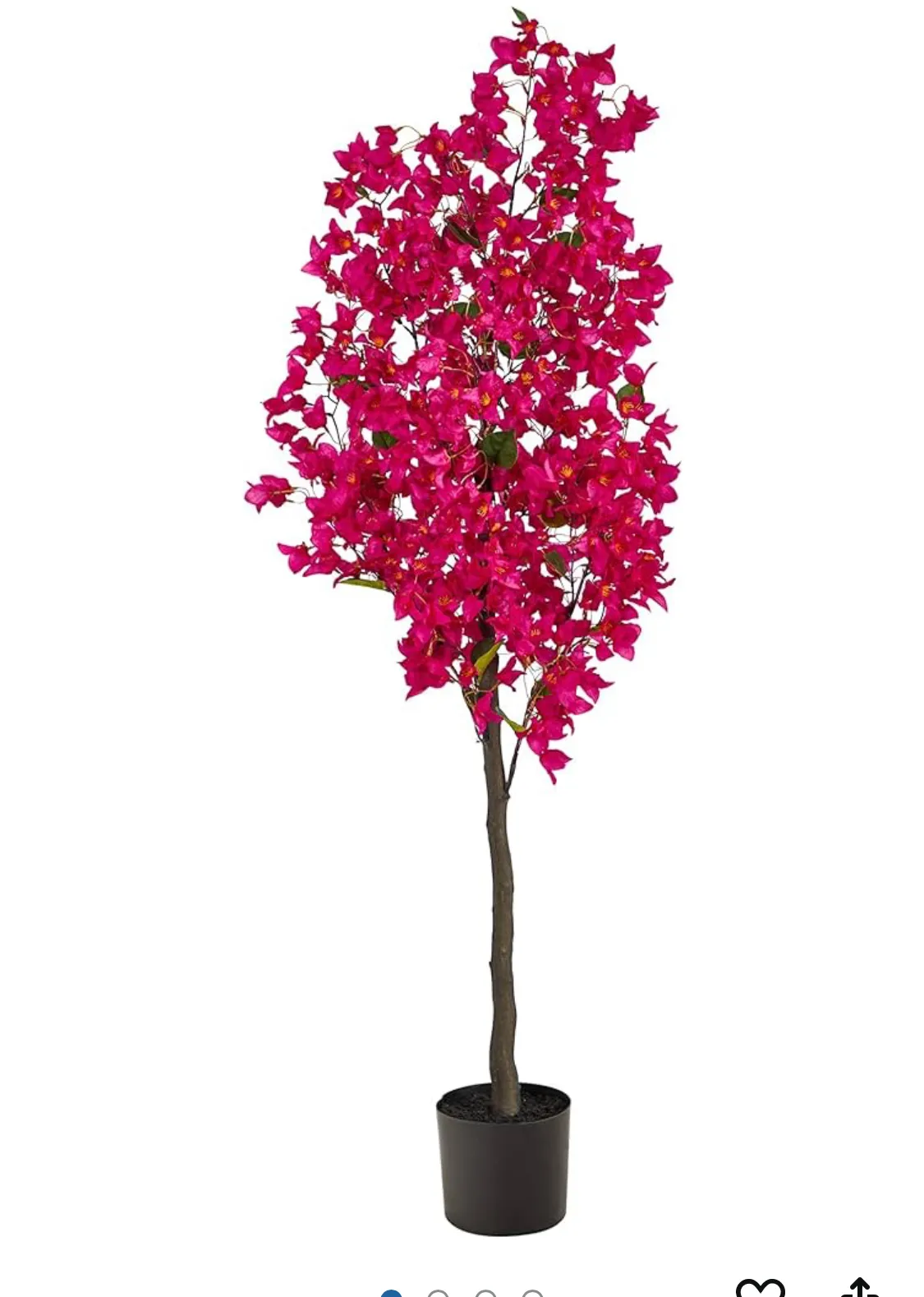Pink Bougainvillea Forals